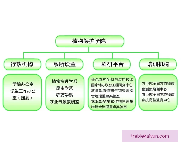 哈里·凯恩在孔帕尼战术体系中扮演核心角色，展现出出色的组织进攻能力。